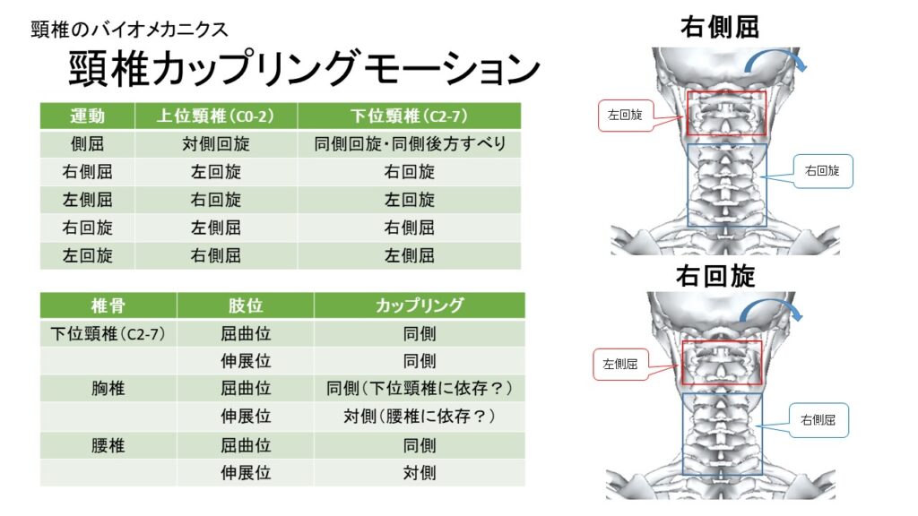 高評価なギフト 「 頸部の緩和 【全2巻】 浅筋膜シリンダーと運動 